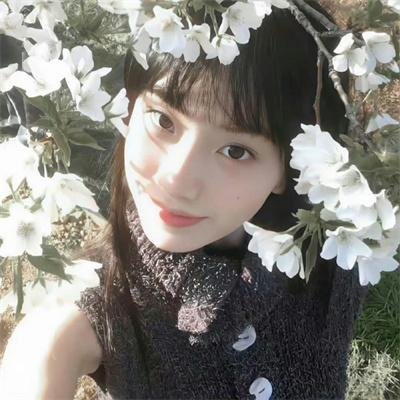 魅力四射2